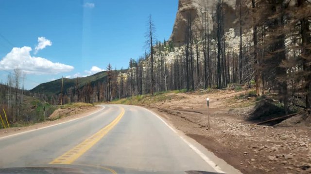 Point of view from a car driving down a mountain road through a forest devastated by a forest fire or wildfire