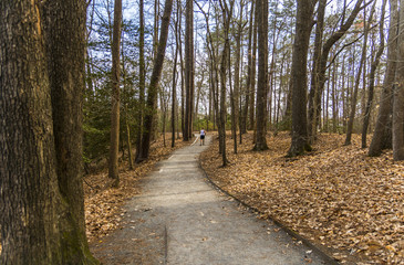 Jogging on a trail path in a forest