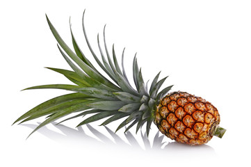 pineapple on white background