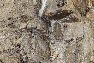 Volumetric and decorative texture on the rock.