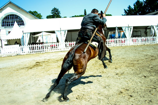 Doma Vaquera Equestria 2018