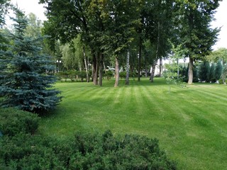 Obraz premium Park 2