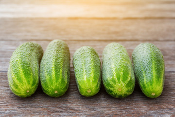 five large green cucumbers from the greenhouse