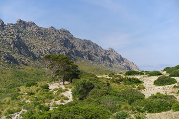 Fototapeta na wymiar Beautiful Majorca landscape, path to the beach. LA SIERRA DE TRAMUNTANA