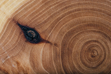 Ash wood slab texture with annual rings.