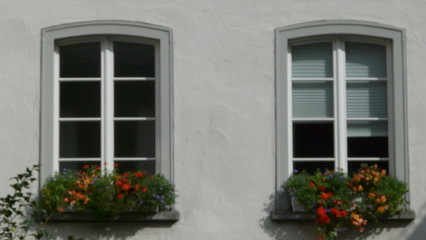 Fototapeta na wymiar Fenster mit Blumenkasten
