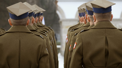 soldiers stand in one line, they are awarded awards.