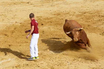 Cercles muraux Tauromachie Compétition avec de braves taureaux en Espagne
