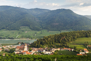 Fototapeta na wymiar Spitz, Austria, View to tonw and old church from green vineyards.