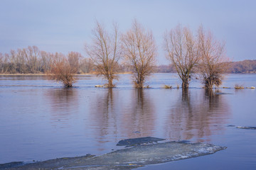 River Narew in Mazovia Province of Poland, view near Nowy Dwor Mazowiecki town