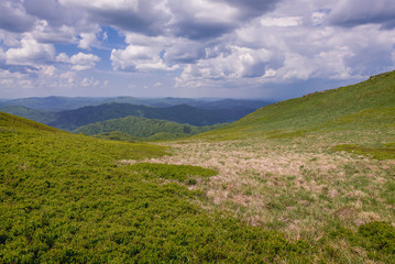 Obraz premium Smerek mount in Bieszczady National Park, Subcarpathian Voivodeship of Poland