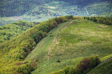 Obraz premium Wetlina hiking trail in Bieszczady National Park in Poland