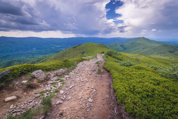 Obraz premium Hiking trail to Smerek Mountain on Wetlina high pasture in Bieszczady National Park, Subcarpathian Voivodeship of Poland