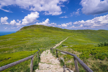 Fototapeta premium Stairs on a Wetlina hiking trail near Osadzki Wierch mountain in Bieszczady National Park, Subcarpathian Voivodeship of Poland