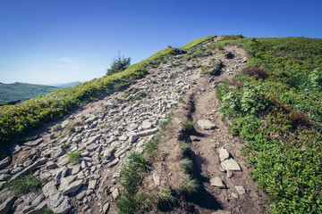 Obraz premium Hking path to mount Halicz in Bieszczady National Park, Subcarpathian Voivodeship of Poland