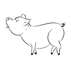Сute funny pig-a symbol of the new 2019.