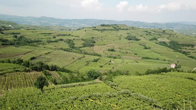 Drone flying over Soave vineyards