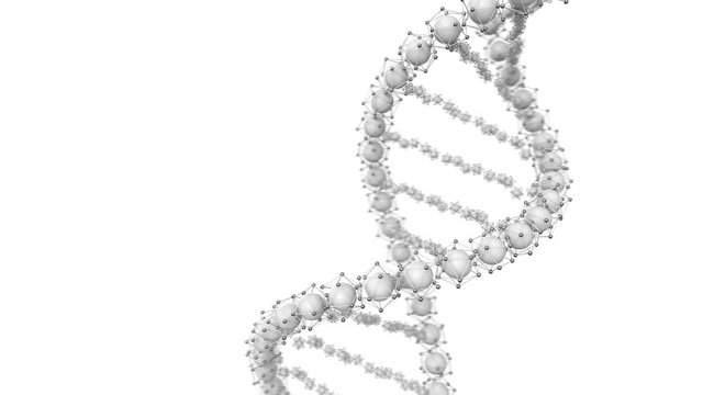 Animated looped DNA chain model. 3D rendering