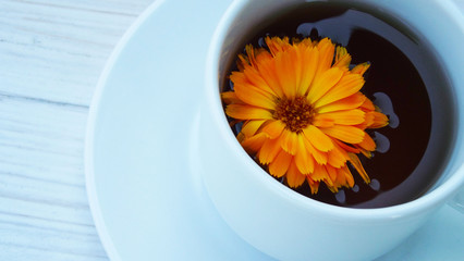 Useful medicinal herb calendula.Brew for the cure.