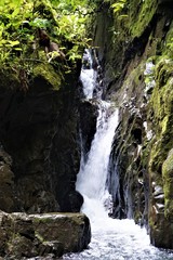 Small waterfall in Las Quebradas Biological Center