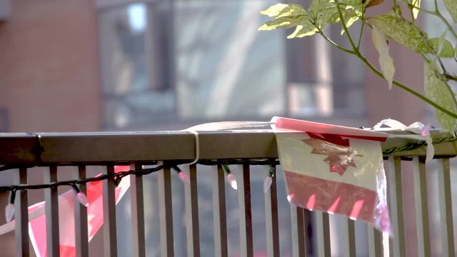 Cheap Canadian plastic flag in the wind