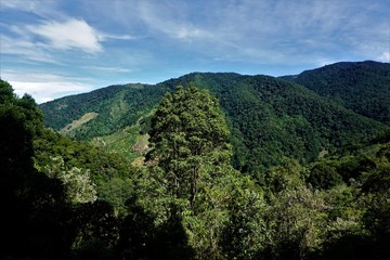 Fototapeta na wymiar Beautiful view on the hills surrounding San Gerardo de Dota