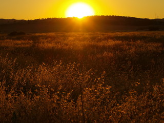 atardecer de verano