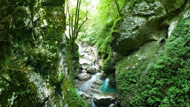View of narrow rocky gorges in the forest as the River Soca flows through in Slovenia.
