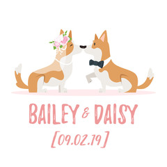wedding day illustration with dog