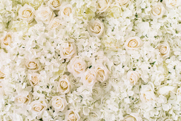 white cream roses, hydrangea and peonies flower as background and decoration, stock photo image