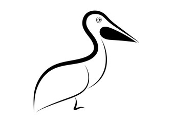 pelican line drawing