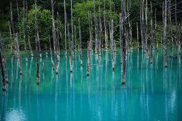 青い池