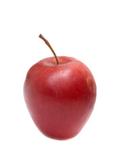 apple on white background