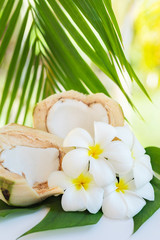 Fresh coconut cuts with tropical palm leaves and white frangipani flowers