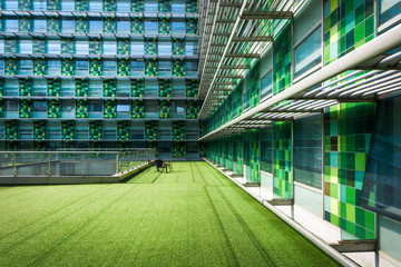 Office building and lawn