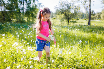Naklejka na ściany i meble little girl in shorts and a T-shirt in a clearing in the summer with flowers