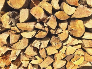 Stack of firewood