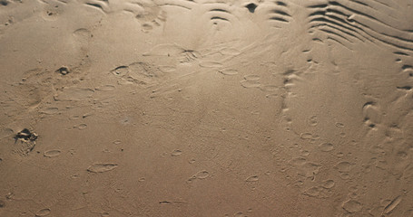 wet sand beach close up