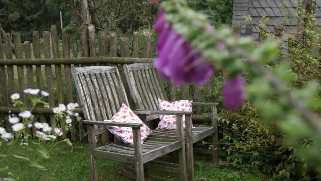 A flying bumblebee gathering on a thimble flower with chairs in the background