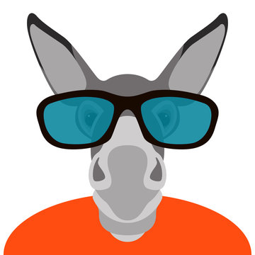 donkey in glasses face head vector illustration flat style 