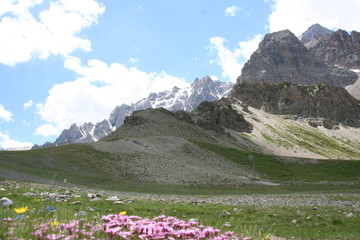 Fototapeta premium Paysage de montagne