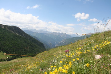 Paysage de montagnes