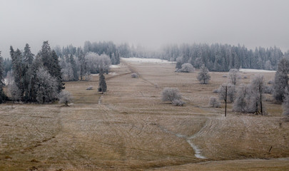 Zamarnięte pagórki na Podhalu © piszczke