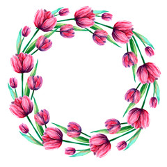 watercolor illustration, a wreath of flowers, pink tulips on a white background