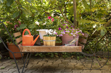 Pflanz dir Blumen für einen schönen Garten