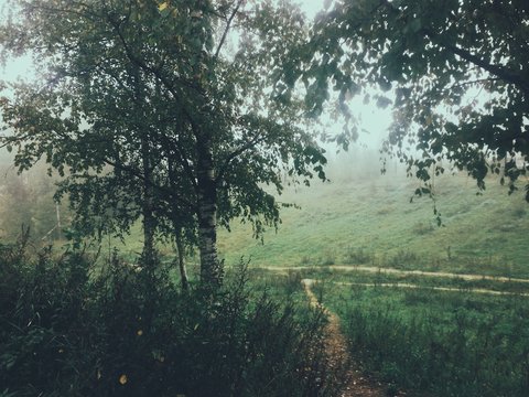 Processed with VSCO with g3 preset