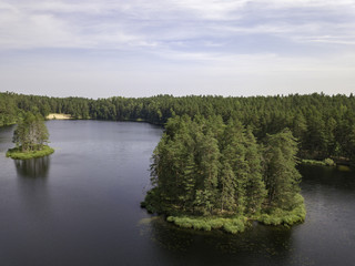 Aerial view near forest lake, Estonia, Viitna