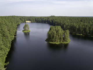 Fototapeta na wymiar Aerial view near forest lake, Estonia, Viitna