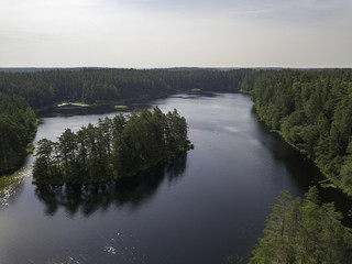 Aerial view near forest lake, Estonia, Viitna