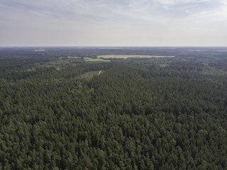 Aerial view near forest lake, Estonia, Viitna
